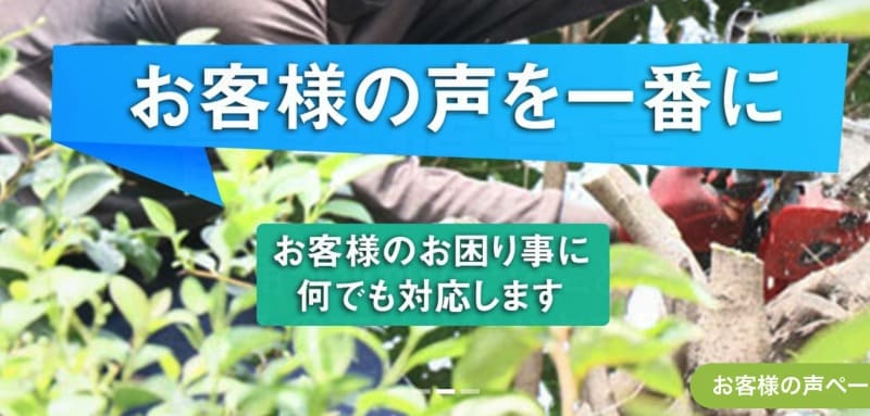 ハヤブサグリーン