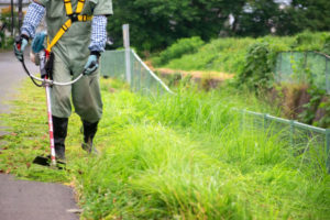 草刈り後の後始末を草刈り専門業者に依頼する